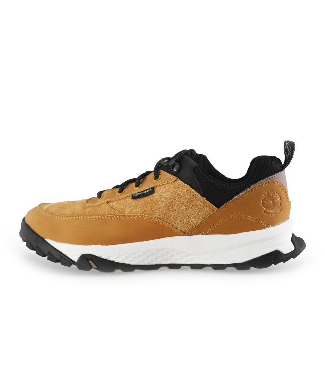 Timberland Sneakers