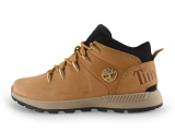 Timberland Hoge sneakers