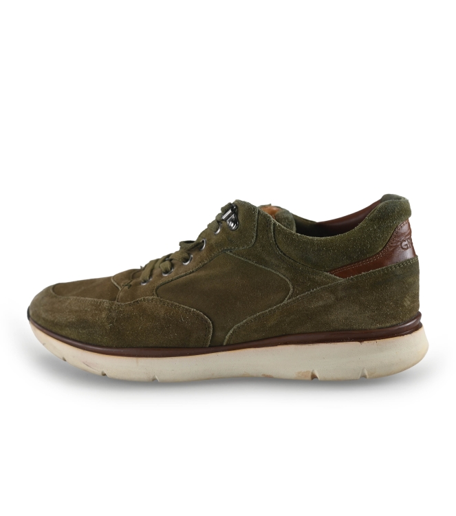 Greve Sneakers
