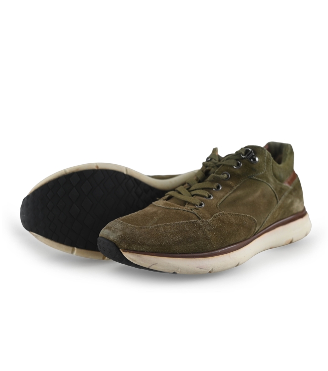 Greve Sneakers