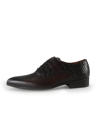 Reinhard Frans Veterschoenen