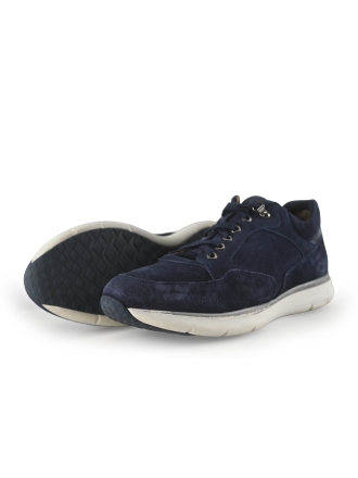 Greve Sneakers