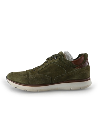 Greve Sneakers Groen 271248