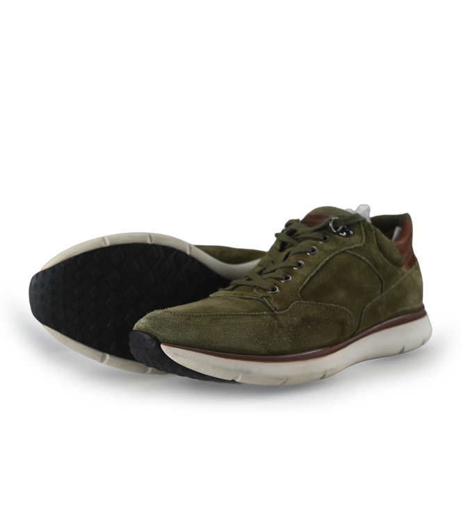 Greve Sneakers