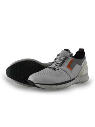 Greve Sneakers
