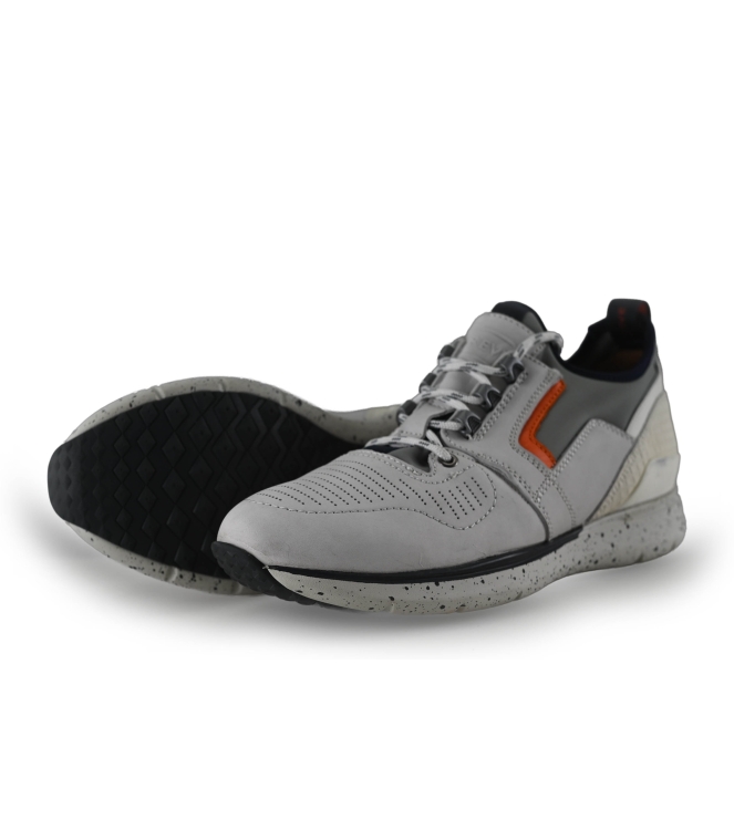 Greve Sneakers