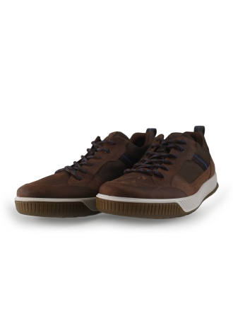 Ecco Sneakers Bruin 271636