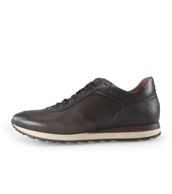 Greve Sneakers