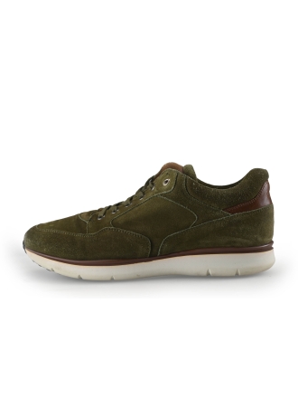 Greve Sneakers Groen 271853