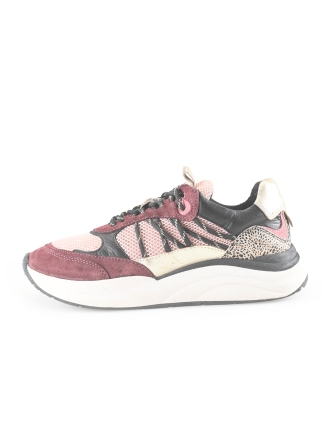 Poelman Sneakers Rood 272868