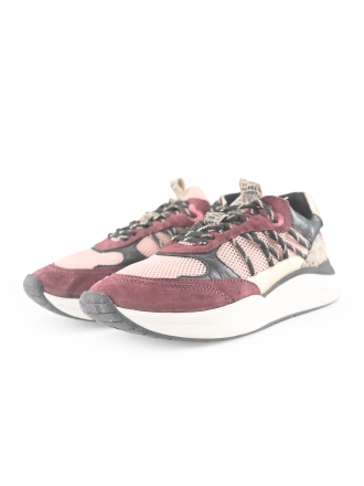 Poelman Sneakers Rood 272868