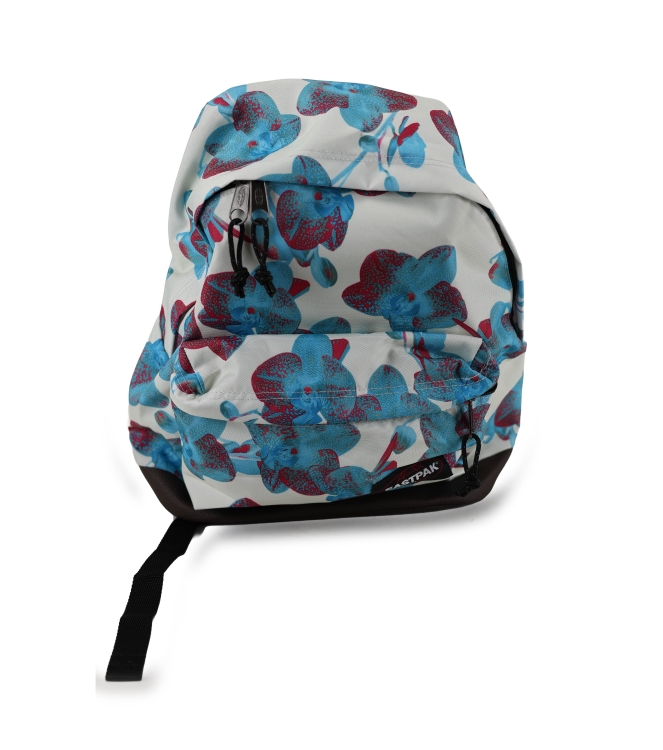 Eastpak Rugzak