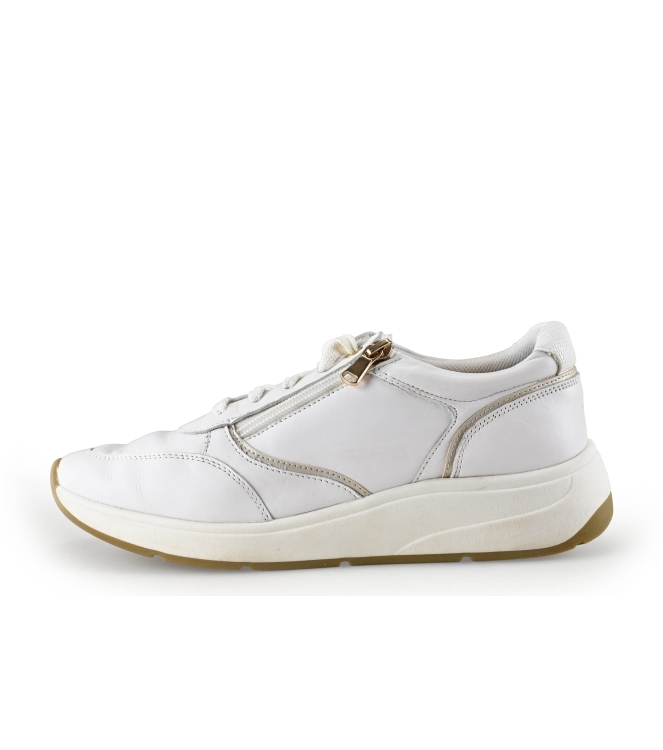 Geox Sneakers