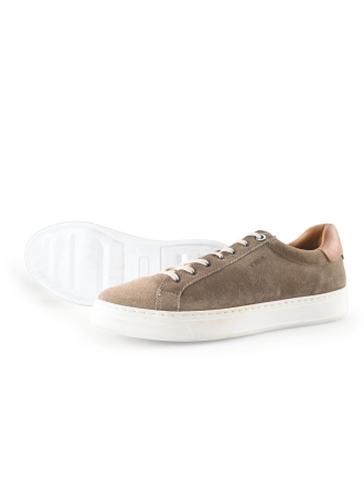 Van Lier Sneakers
