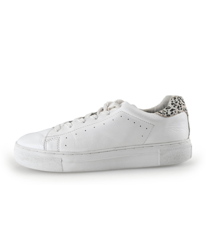 Poelman Sneakers