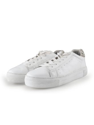 Poelman Sneakers Wit 274783