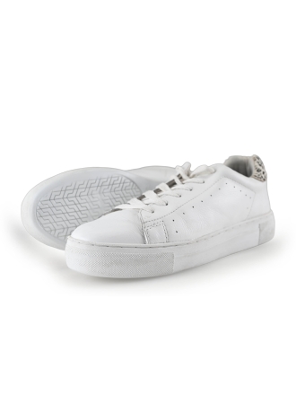 Poelman Sneakers