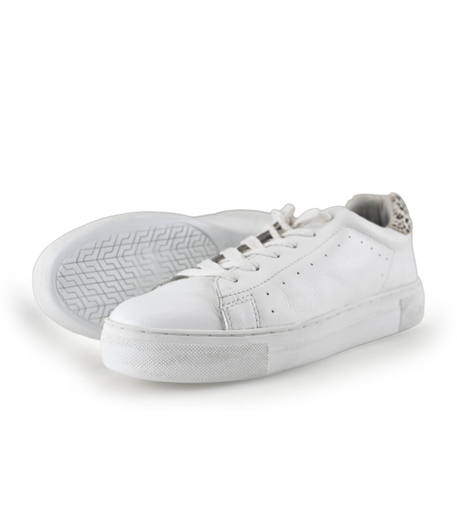 Poelman Sneakers