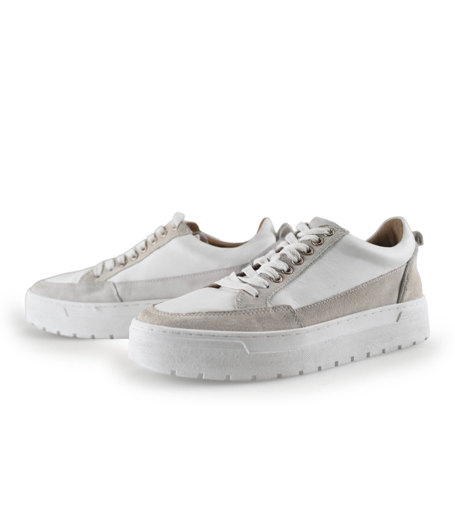 Poelman Sneakers