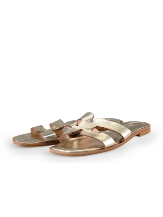Omoda Slippers Goud 275313