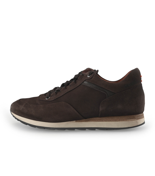 Greve Sneakers