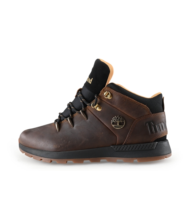 Timberland Sneakers