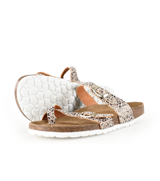 Laurent David Slippers