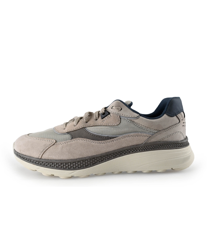 Geox Sneakers