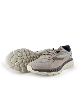 Geox Sneakers