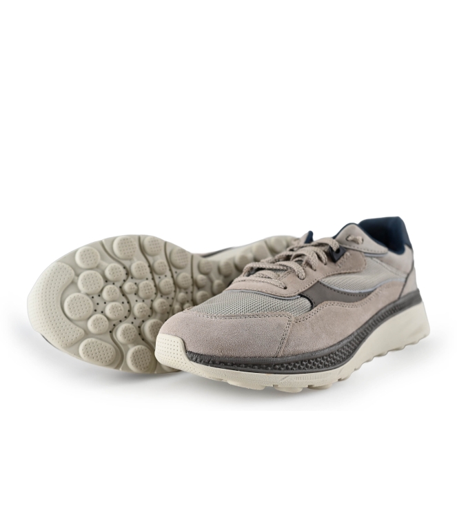 Geox Sneakers