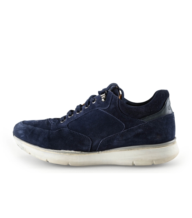 Greve Sneakers