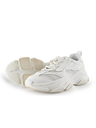Steve Madden Sneakers