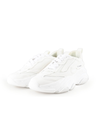 Steve Madden Sneakers Wit 279555