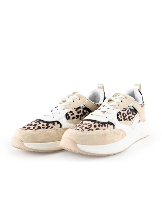 Poelman Sneakers Bruin 279979