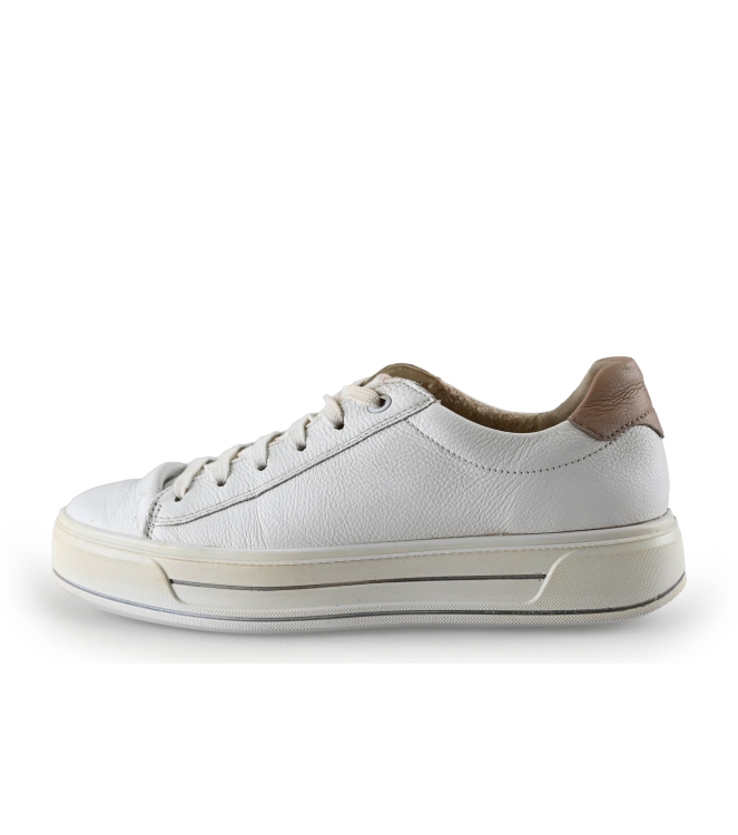 Ara Sneakers