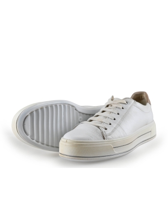 Ara Sneakers
