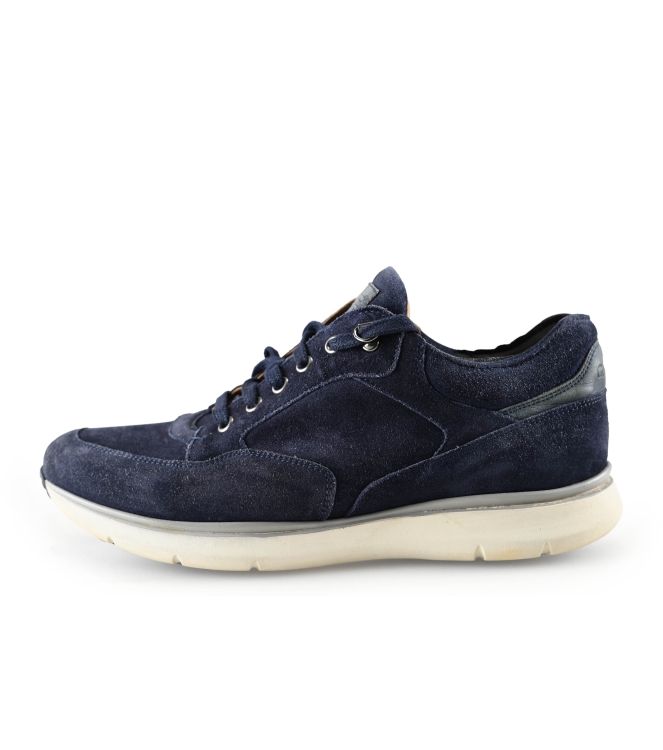 Greve Sneakers