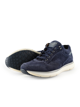 Greve Sneakers