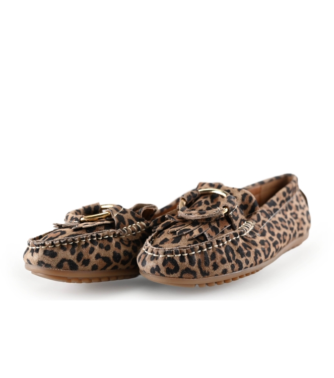 Loff 1881 Instappers