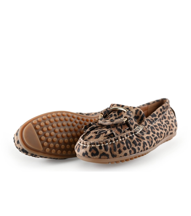 Loff 1881 Instappers