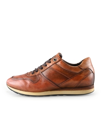 Greve Sneakers Bruin 281612
