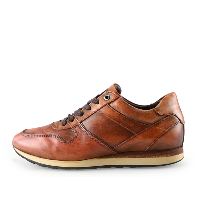 Greve Sneakers