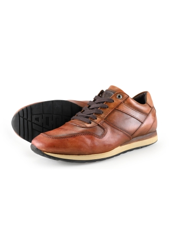 Greve Sneakers