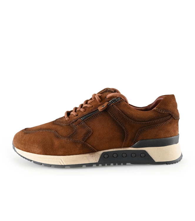 Greve Sneakers