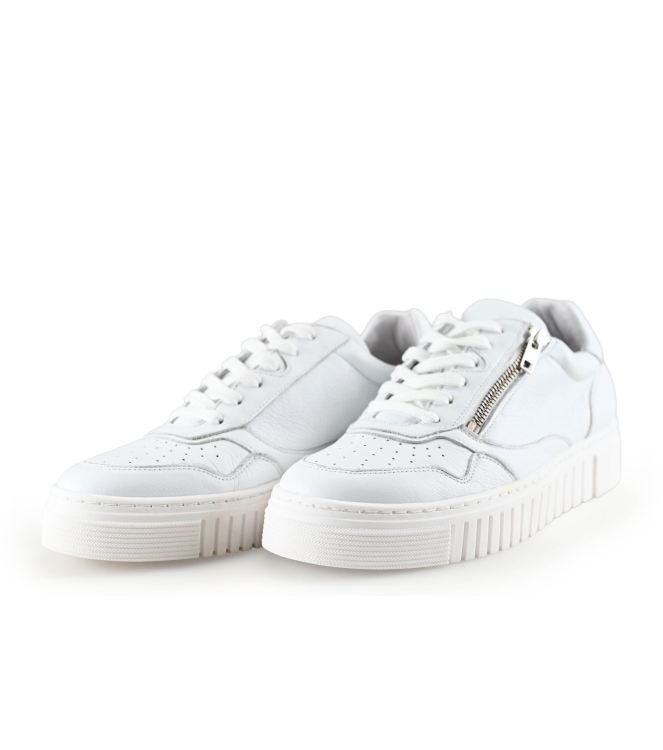 AQA Sneakers
