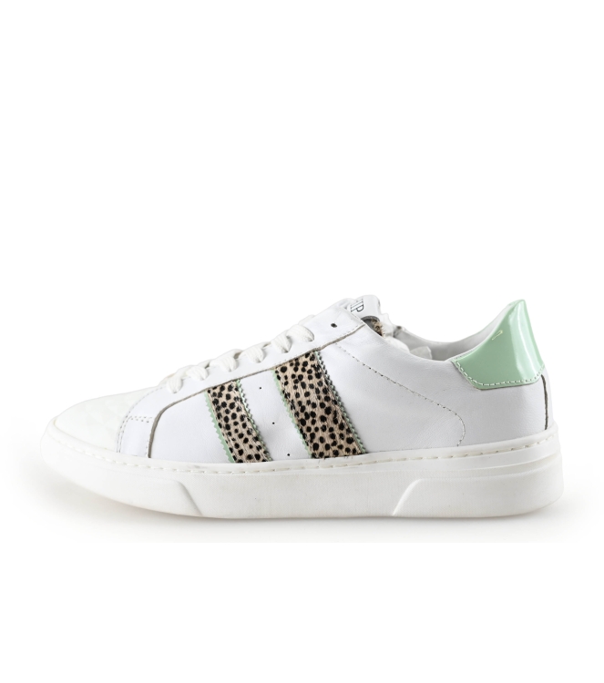 HIP Sneakers