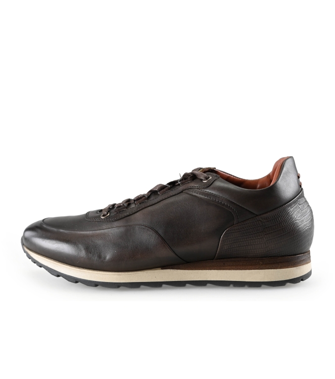 Greve Sneakers