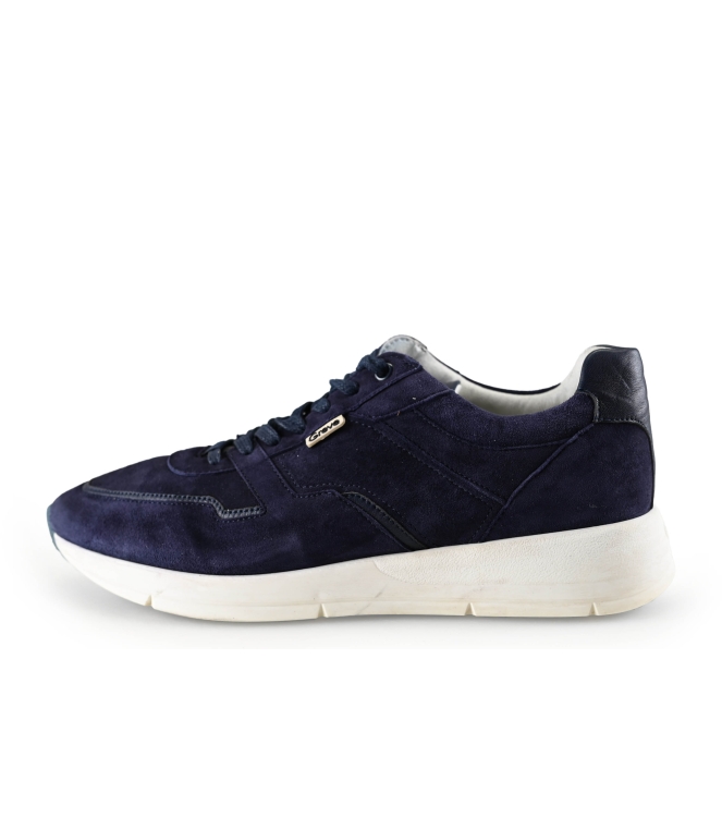 Greve Sneakers