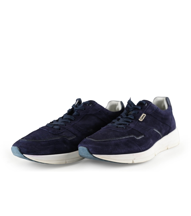 Greve Sneakers