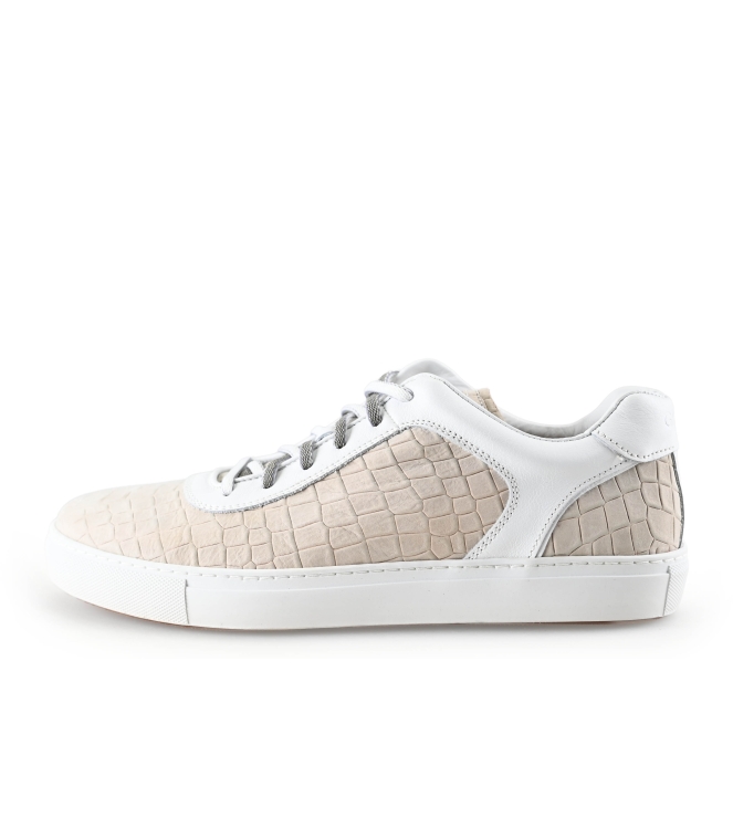 Greve Sneakers
